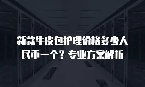 新款牛皮包护理价格多少人民币一个？专业方案解析