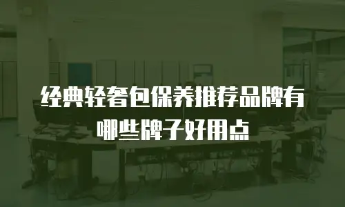 经典轻奢包保养推荐品牌有哪些牌子好用点