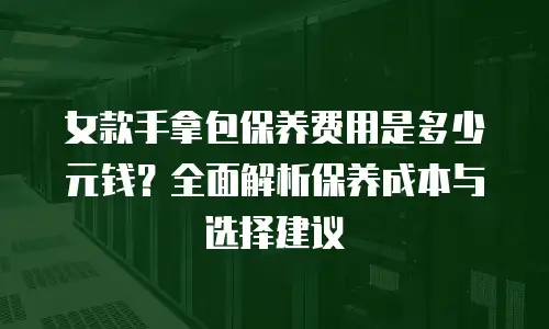 女款手拿包保养费用是多少元钱？全面解析保养成本与选择建议