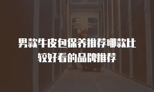 男款牛皮包保养推荐哪款比较好看的品牌推荐