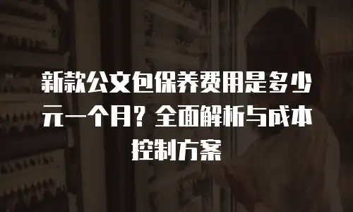 新款公文包保养费用是多少元一个月？全面解析与成本控制方案