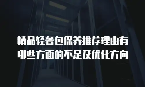 精品轻奢包保养推荐理由有哪些方面的不足及优化方向