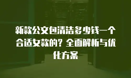 新款公文包清洁多少钱一个合适女款的？全面解析与优化方案