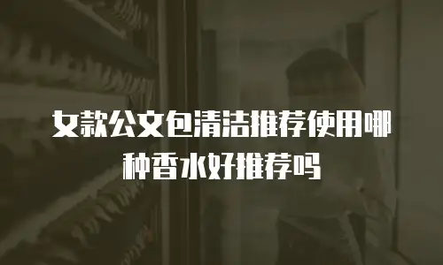 女款公文包清洁推荐使用哪种香水好推荐吗
