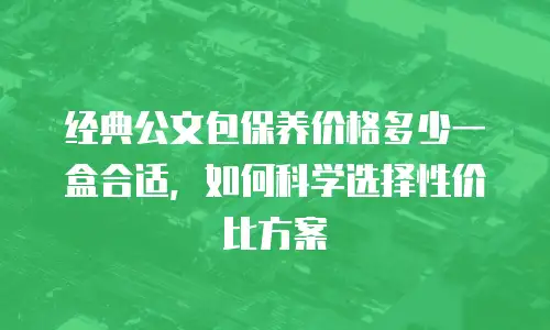 经典公文包保养价格多少一盒合适，如何科学选择性价比方案