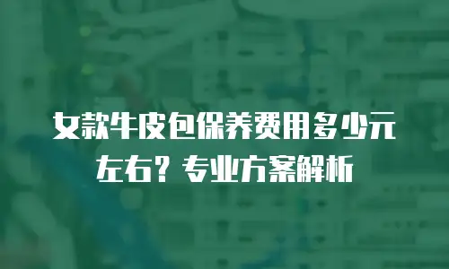 女款牛皮包保养费用多少元左右？专业方案解析