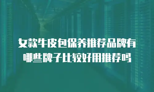 女款牛皮包保养推荐品牌有哪些牌子比较好用推荐吗