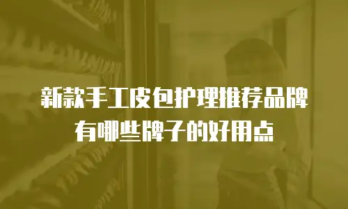 新款手工皮包护理推荐品牌有哪些牌子的好用点