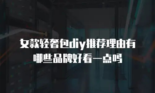 女款轻奢包diy推荐理由有哪些品牌好看一点吗