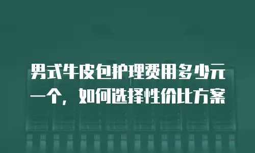 男式牛皮包护理费用多少元一个，如何选择性价比方案