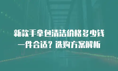 新款手拿包清洁价格多少钱一件合适？选购方案解析