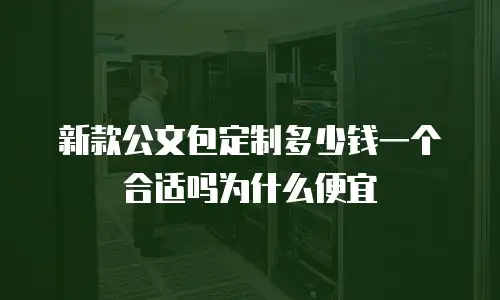新款公文包定制多少钱一个合适吗为什么便宜