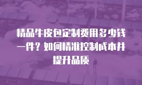 精品牛皮包定制费用多少钱一件？如何精准控制成本并提升品质
