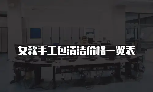 女款手工包清洁价格一览表