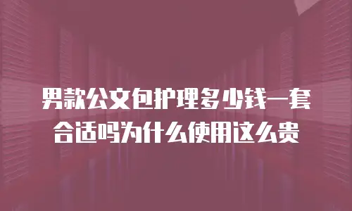 男款公文包护理多少钱一套合适吗为什么使用这么贵