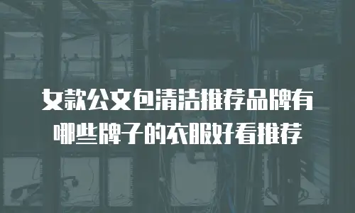 女款公文包清洁推荐品牌有哪些牌子的衣服好看推荐