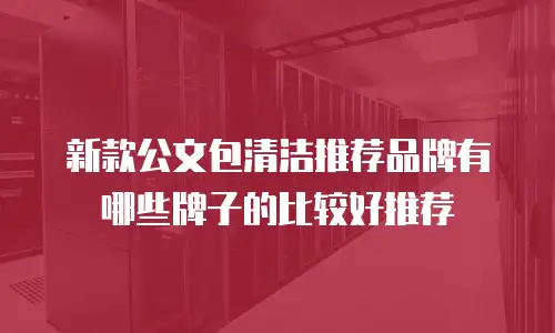 新款公文包清洁推荐品牌有哪些牌子的比较好推荐