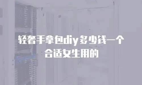 轻奢手拿包diy多少钱一个合适女生用的