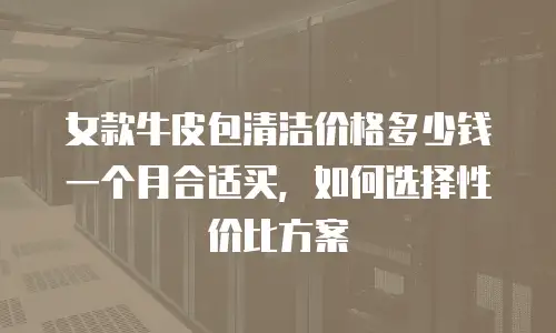 女款牛皮包清洁价格多少钱一个月合适买，如何选择性价比方案