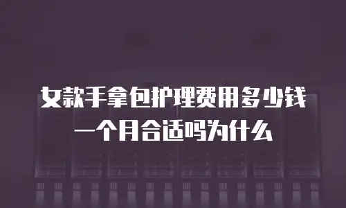 女款手拿包护理费用多少钱一个月合适吗为什么
