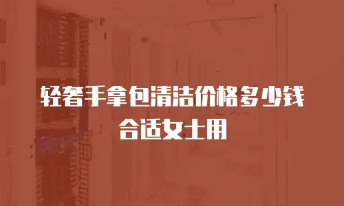 轻奢手拿包清洁价格多少钱合适女士用