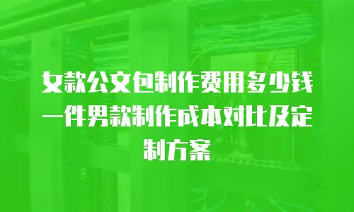 女款公文包制作费用多少钱一件男款制作成本对比及定制方案