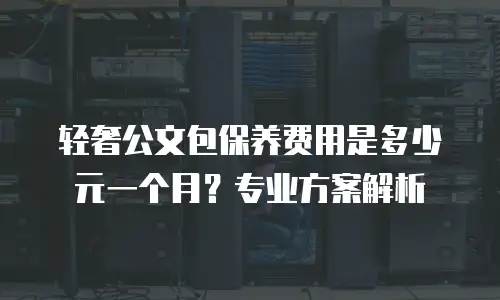 轻奢公文包保养费用是多少元一个月？专业方案解析