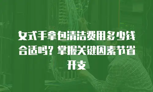 女式手拿包清洁费用多少钱合适吗？掌握关键因素节省开支