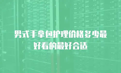 男式手拿包护理价格多少最好看的最好合适
