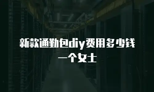 新款通勤包diy费用多少钱一个女士