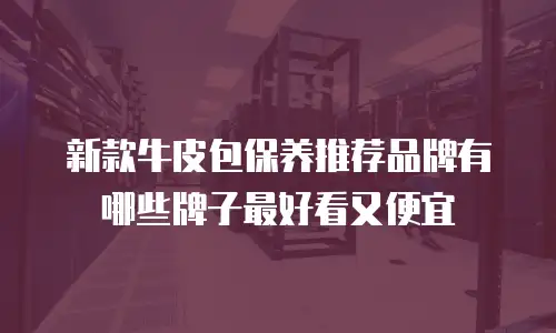 新款牛皮包保养推荐品牌有哪些牌子最好看又便宜