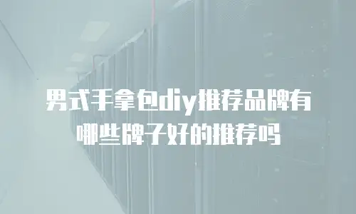 男式手拿包diy推荐品牌有哪些牌子好的推荐吗