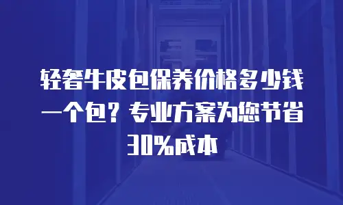 轻奢牛皮包保养价格多少钱一个包？专业方案为您节省30%成本
