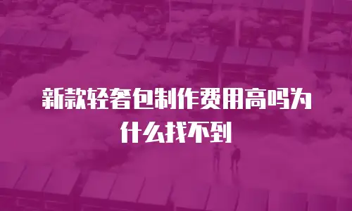 新款轻奢包制作费用高吗为什么找不到