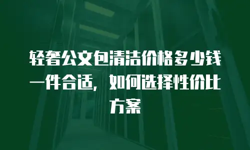 轻奢公文包清洁价格多少钱一件合适，如何选择性价比方案