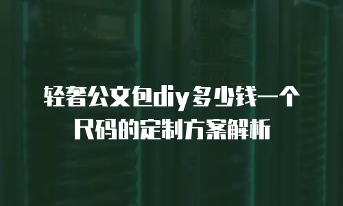 轻奢公文包diy多少钱一个尺码的定制方案解析