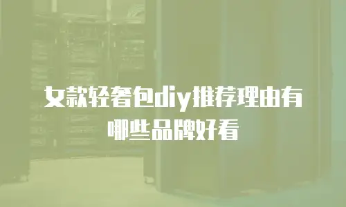 女款轻奢包diy推荐理由有哪些品牌好看