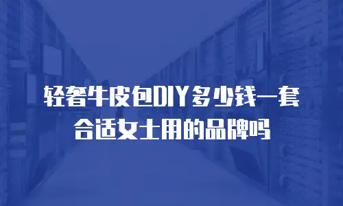 轻奢牛皮包DIY多少钱一套合适女士用的品牌吗
