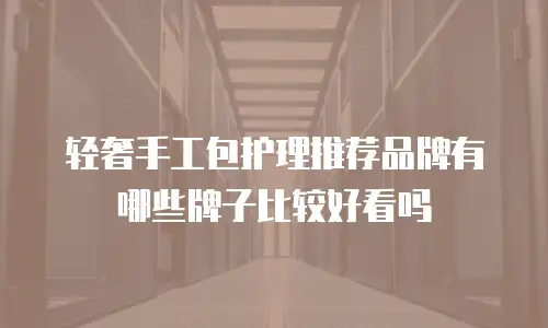 轻奢手工包护理推荐品牌有哪些牌子比较好看吗