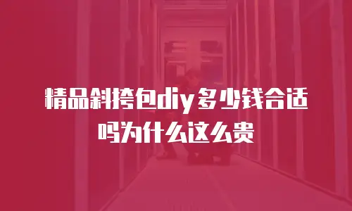 精品斜挎包diy多少钱合适吗为什么这么贵