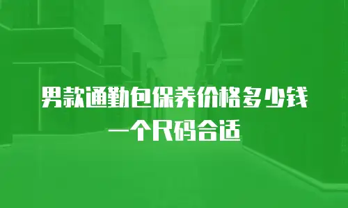 男款通勤包保养价格多少钱一个尺码合适