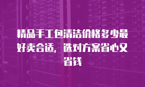 精品手工包清洁价格多少最好卖合适，选对方案省心又省钱