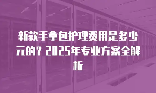 新款手拿包护理费用是多少元的？2025年专业方案全解析