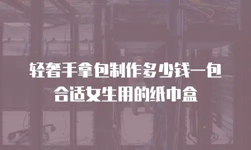 轻奢手拿包制作多少钱一包合适女生用的纸巾盒