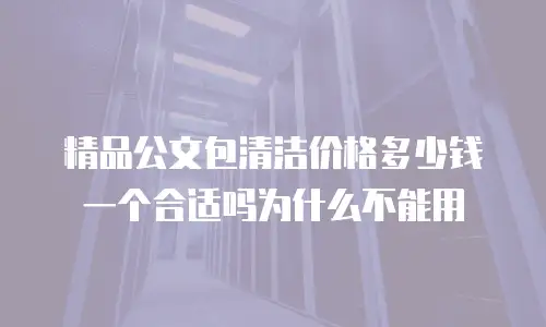 精品公文包清洁价格多少钱一个合适吗为什么不能用