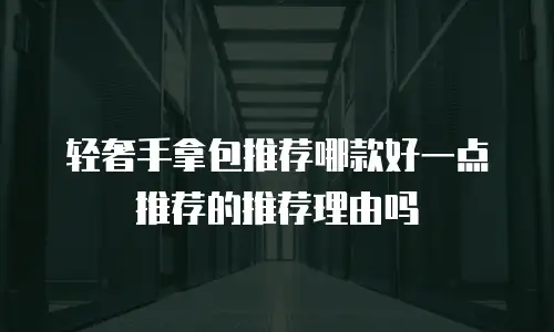 轻奢手拿包推荐哪款好一点推荐的推荐理由吗
