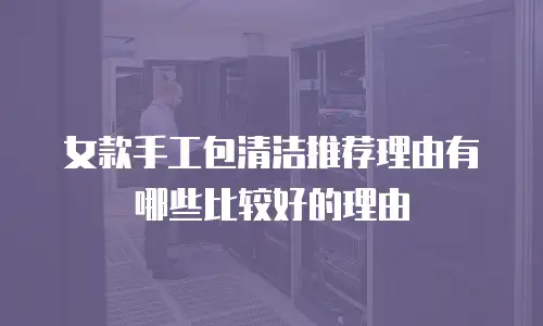 女款手工包清洁推荐理由有哪些比较好的理由