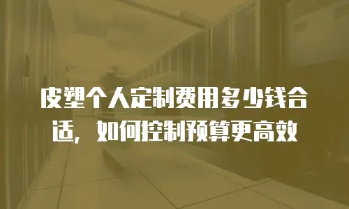 皮塑个人定制费用多少钱合适，如何控制预算更高效