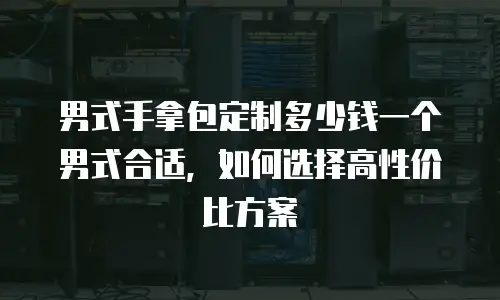 男式手拿包定制多少钱一个男式合适，如何选择高性价比方案