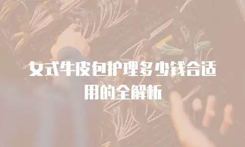 女式牛皮包护理多少钱合适用的全解析